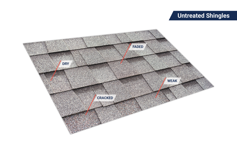Untreated asphalt shingles showing cracking, fading, and granule loss